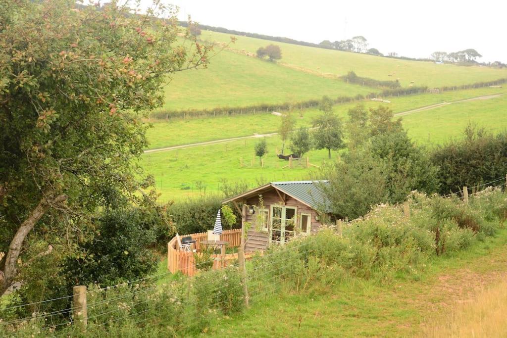 Woolcombe Cabin East Allington エクステリア 写真
