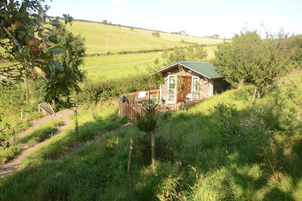 Woolcombe Cabin East Allington エクステリア 写真