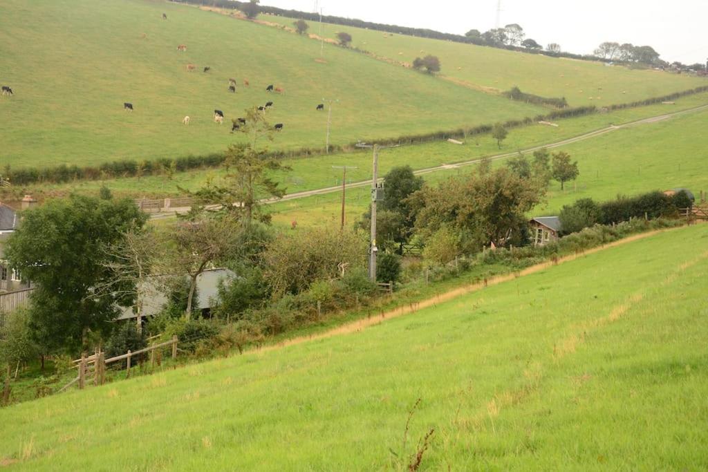 Woolcombe Cabin East Allington エクステリア 写真